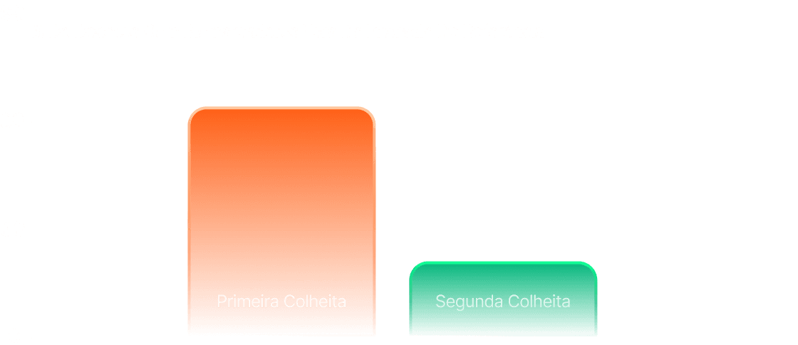 Risk Prevention Graph